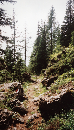 transalp mountainbike, mountain-bike, alpenberquerung mountainbike, bike transalp, transalp, alpencross transalp