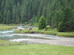 transalp, transalp mountainbike, mountain-bike, bike transalp, alpencross transalp, alpenberquerung mountainbike